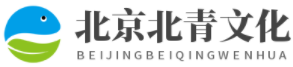 VLogo